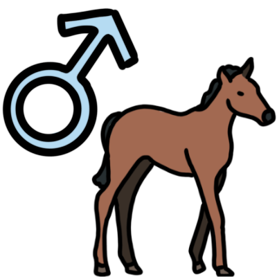 a thin brown horse foal with black mane and tail, facing the right. to the top left is light blue mars symbol.